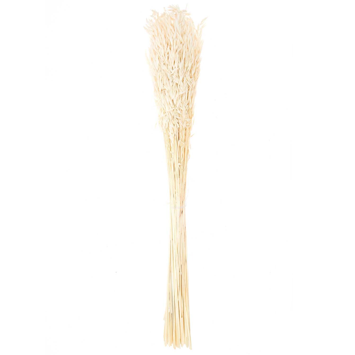 Getrockneter Hafer natur 60-75cm 100g